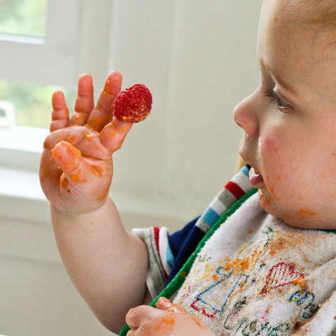 Baby Led Weaning at 8 Months