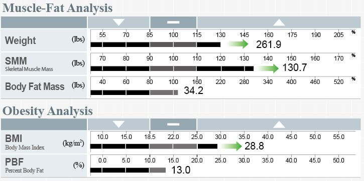 obesity analysis