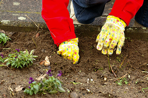 family fitness, gardening