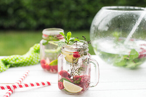 Raspberry Lime Chia