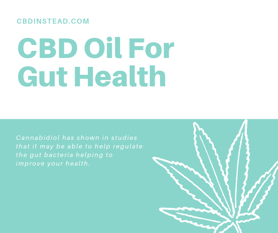 You Are What You Eat The Importance Of Gut Health Cbd Instead