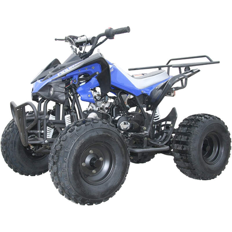 Raptor 125 квадроцикл. Kid atv Quad 125~150cc. Chep Kid atv Quad 125~150cc. Квадроцикл Orix 125 atv 124cc.