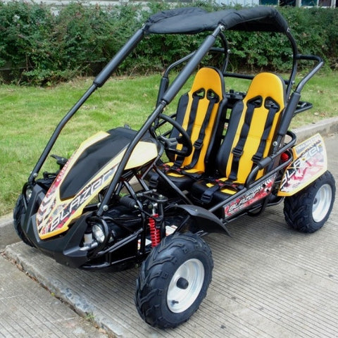 trailmaster 200cc go kart