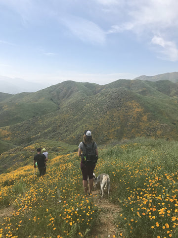 Thread Spun founders take a break from surf to hike amongst the superbloom.