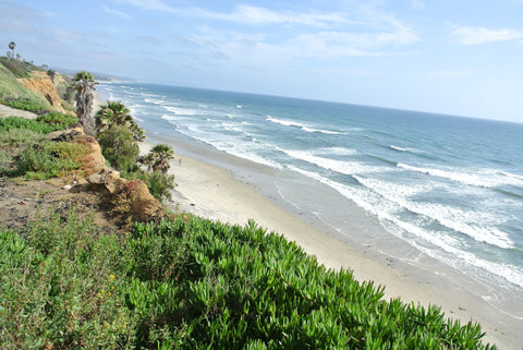 Thread Spun guide to surf at San Elijo Campgrounds.