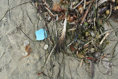 Trash mixed in seaweed at Moonlight Beach, Encinitas.