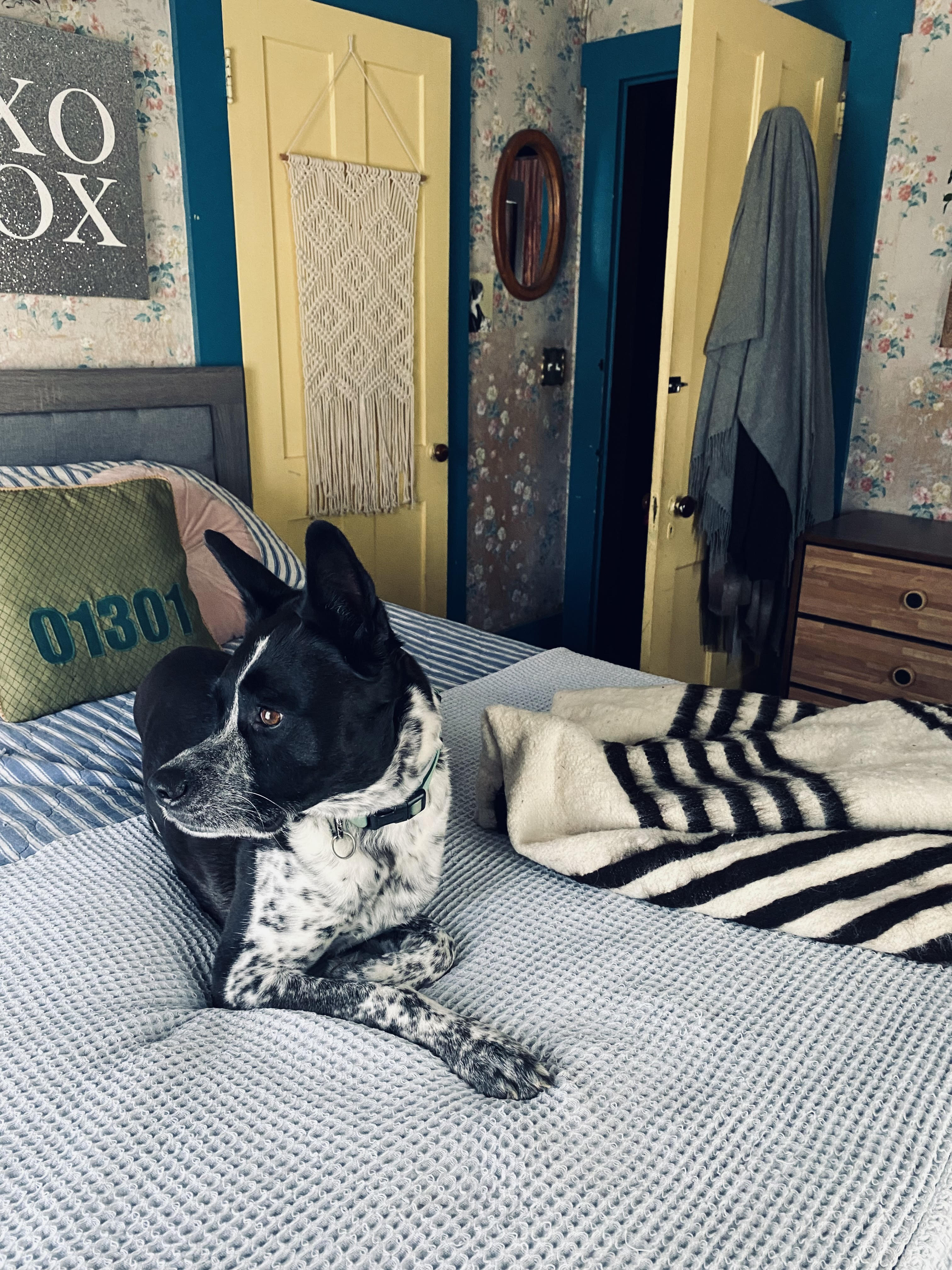 Emily Ballard at home her dog | Thread Spun Sustainable Blog