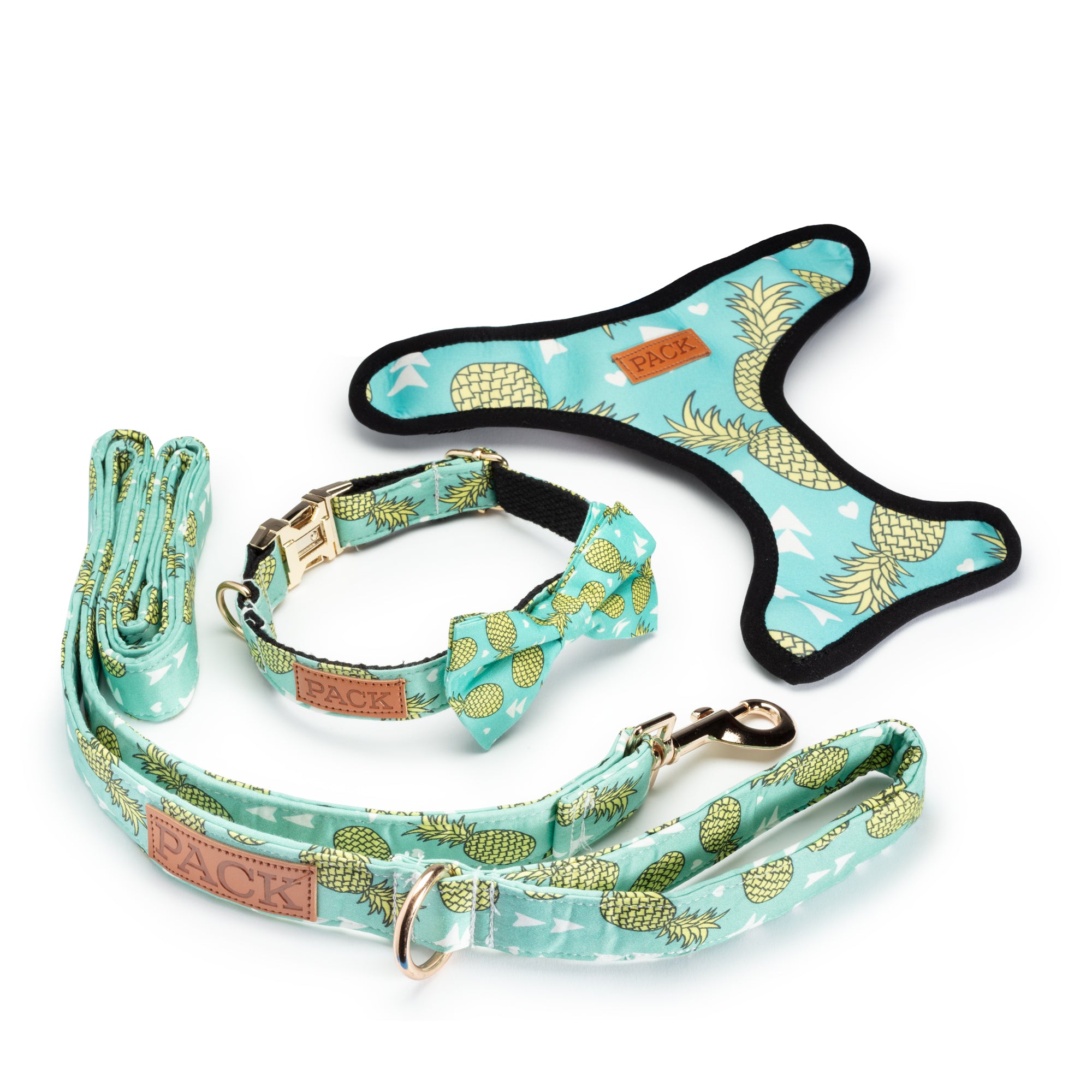 matching dog collar leash and harness