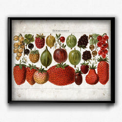 Strawberries Fruit Vintage Print - Orion Wells