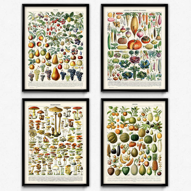 Vintage Farmhouse Wall Art Prints | Rustic Botanical Garden Kitchen Decor | 4 Piece Set | 16x20 18x24 24x36 VP1033 - Orion Wells