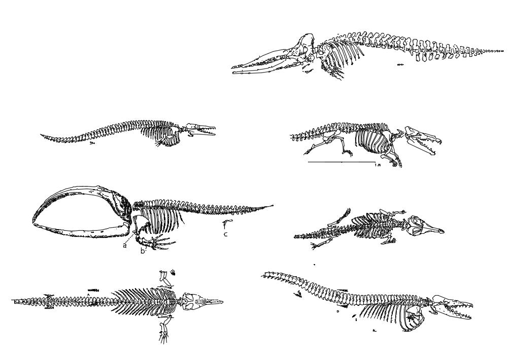 Dinosaurs CAD Blocks