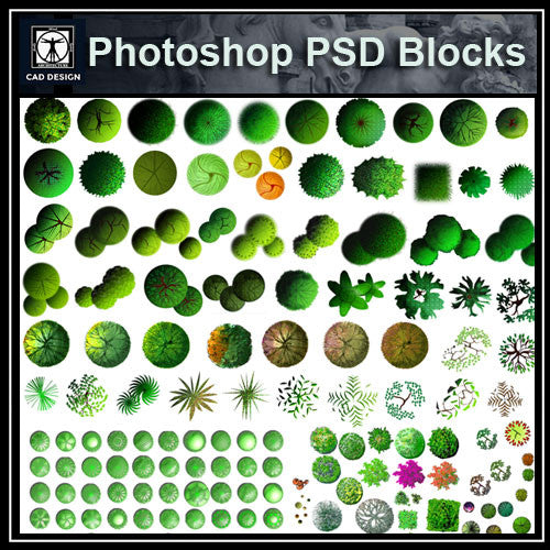 Photoshop PSD Landscape Tree Blocks 5