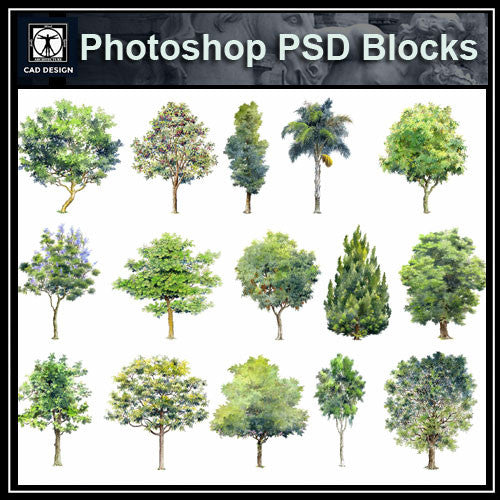 Hand-painted PSD Tree Blocks 2