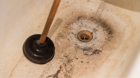 A very dirty and moldy bathtub drain is clogged and there is a black plunger in the tub by the drain.