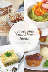 Little Mashies 5 Freezable Lunchbox Ideas
