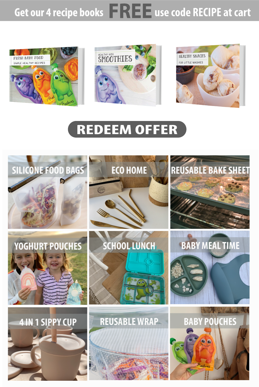 Little Mashies Reusable Food Pouch Recipes