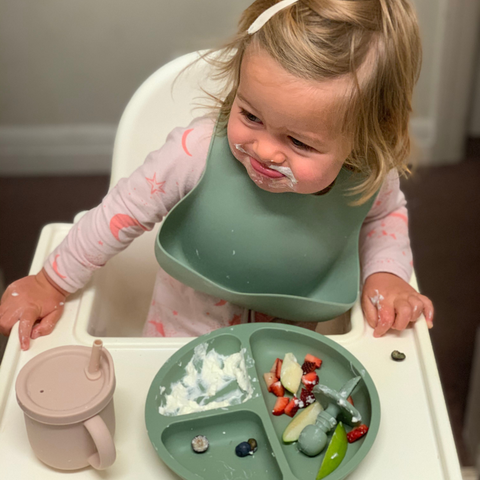 Baby Suction Plate