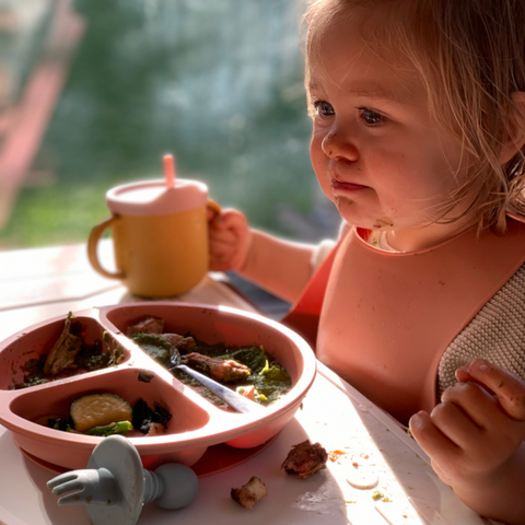 Baby Suction Plate