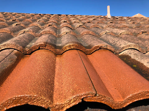 Tile Roof After Cleaning But Still Wet