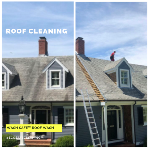 Roof Cleaning Ballard WA