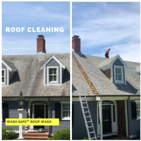 Roof Cleaning Black Diamond WA