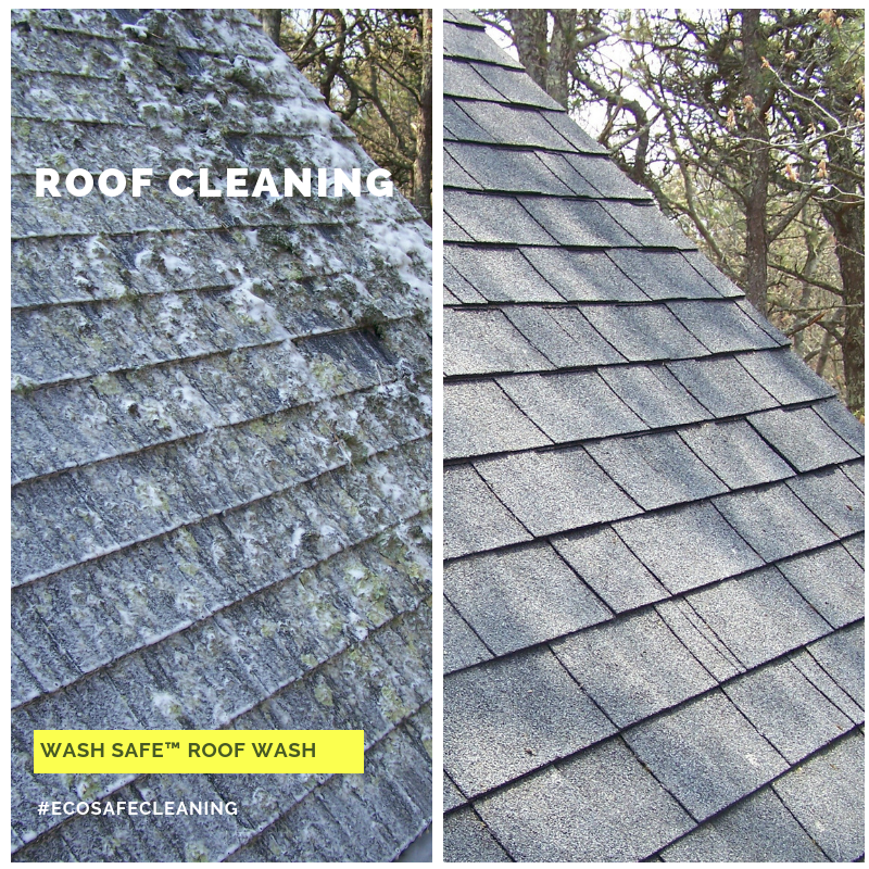 Roof Cleaning