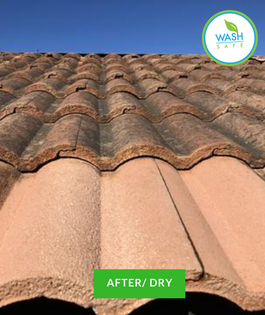 Best Ingalls In Roof Cleaning