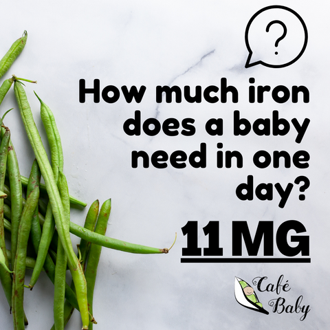 How much iron does a baby need in one day