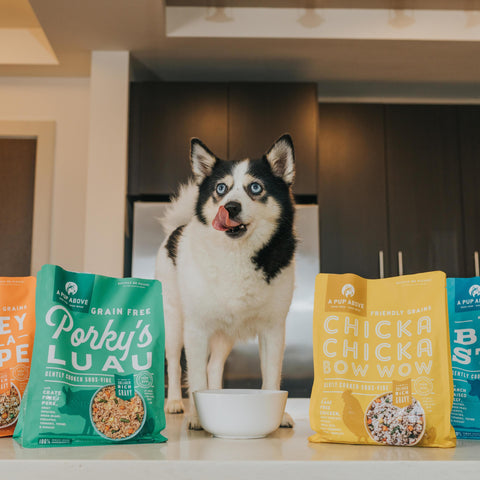 is dog food healthy for humans