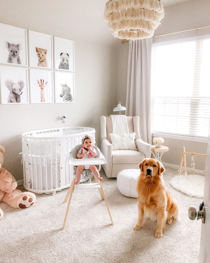 Nursery room with a little baby girl and her golden retriever dog in the foreground. Framed prints of baby animals in the background on the wall above the crib.