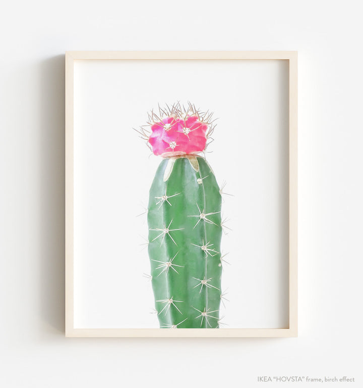 Cactus No. 9