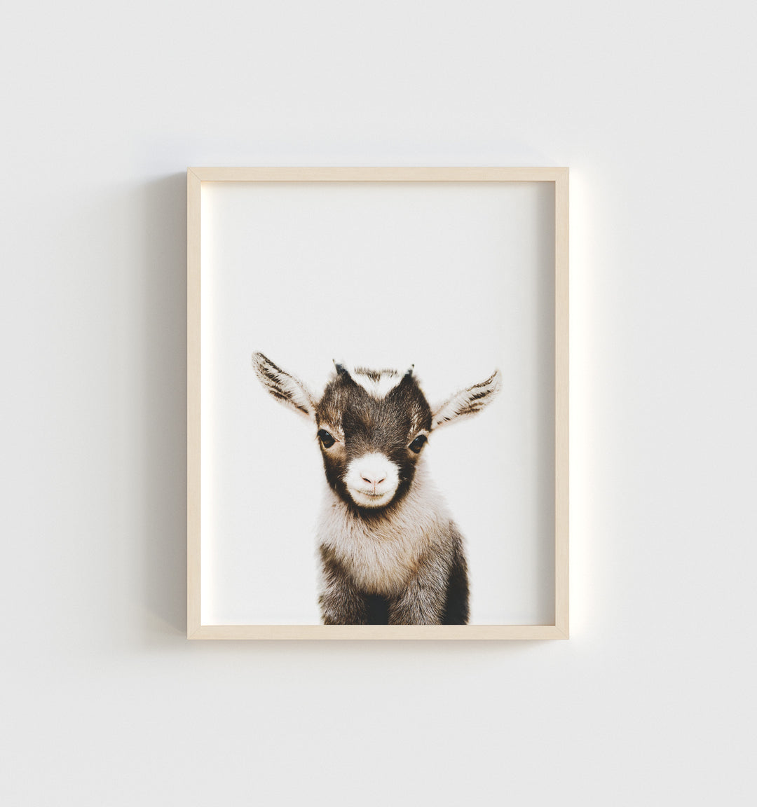 goat pictures to print