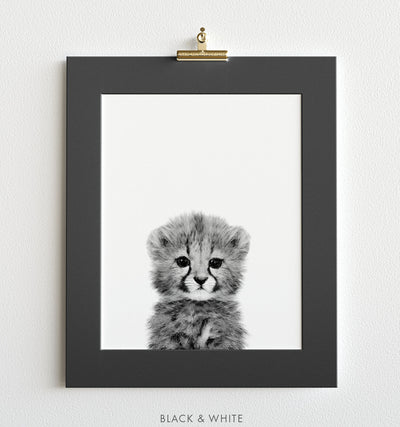 Black White Baby Animals The Crown Prints