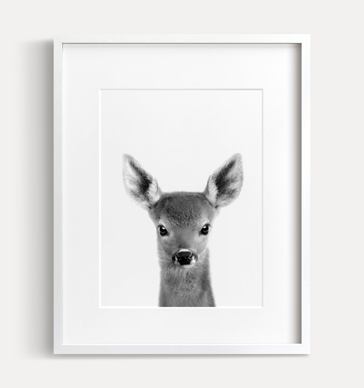 Baby Deer Black and White Print