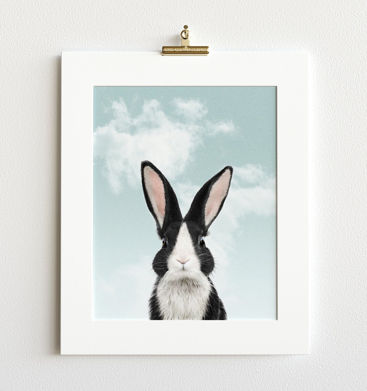 Baby Dutch Rabbit With Blue Sky Print The Crown Prints