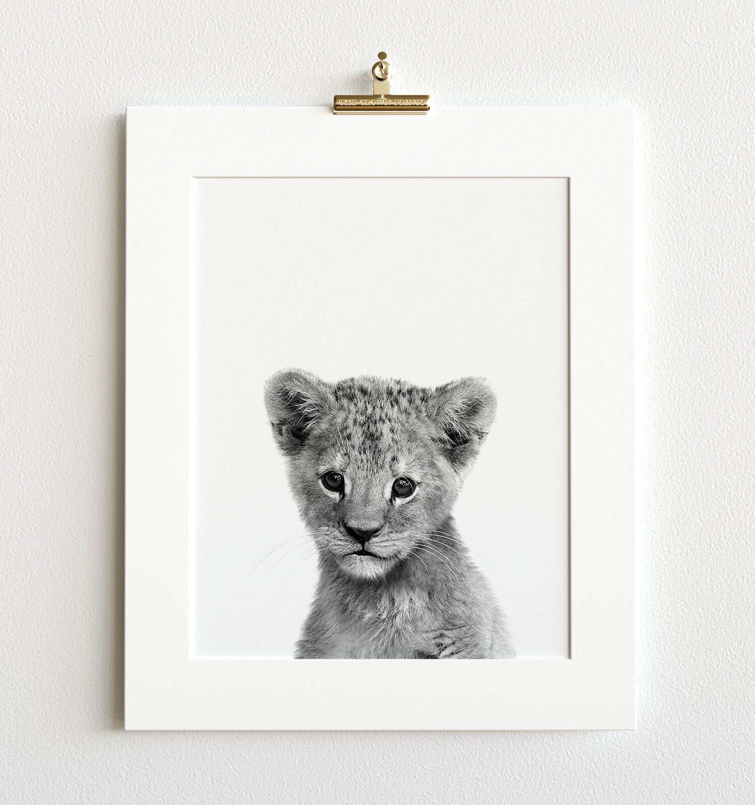 Baby Lion Black And White Print The Crown Prints