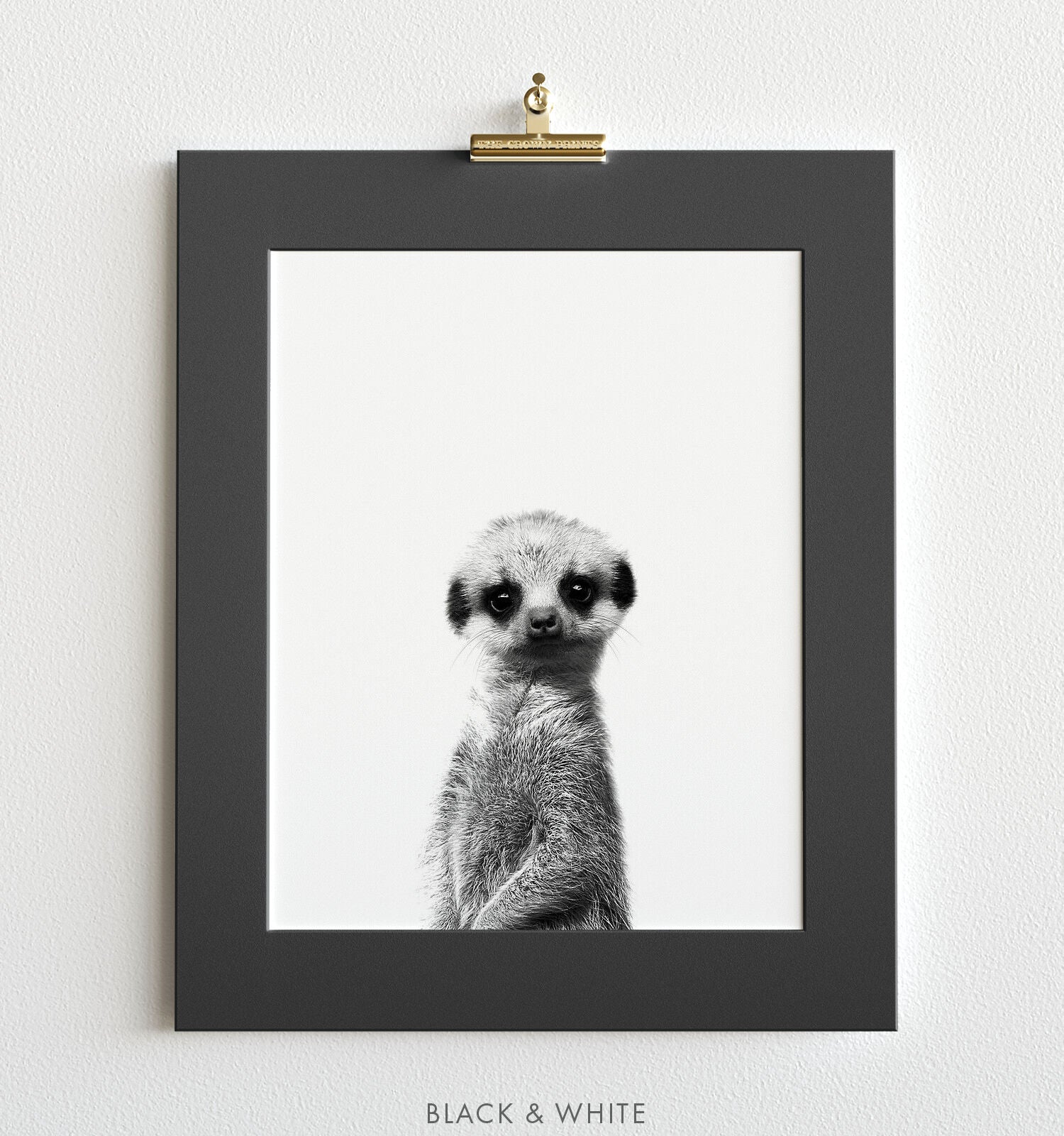 Baby Meerkat Black And White Print The Crown Prints