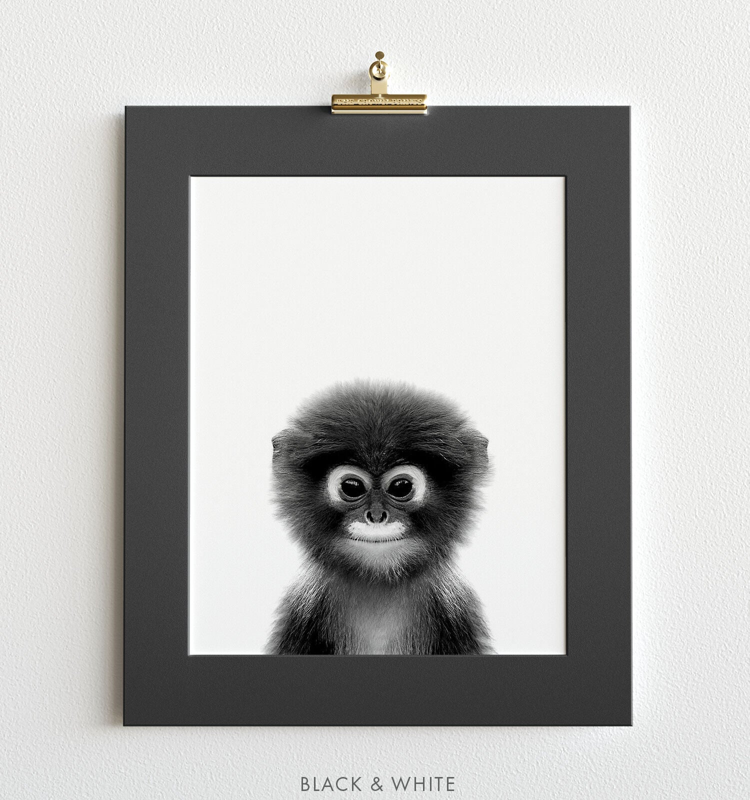 Baby Monkey Black And White Print The Crown Prints