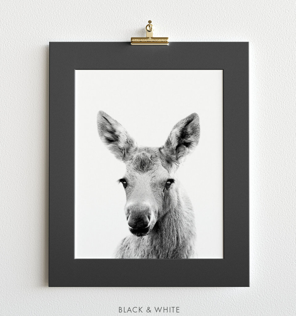 Baby Moose Black And White Print The Crown Prints