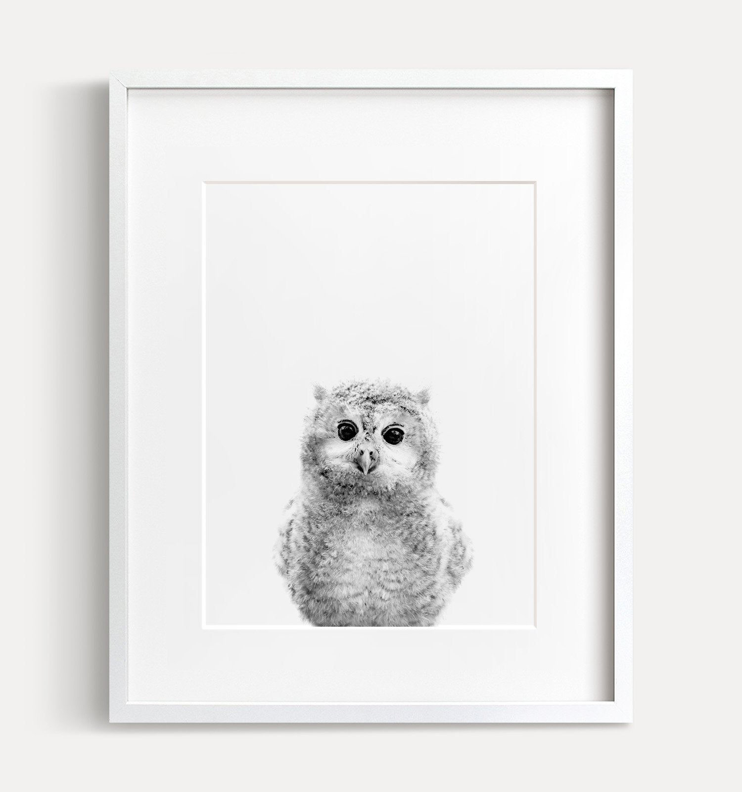 Baby Owl Black and White Print