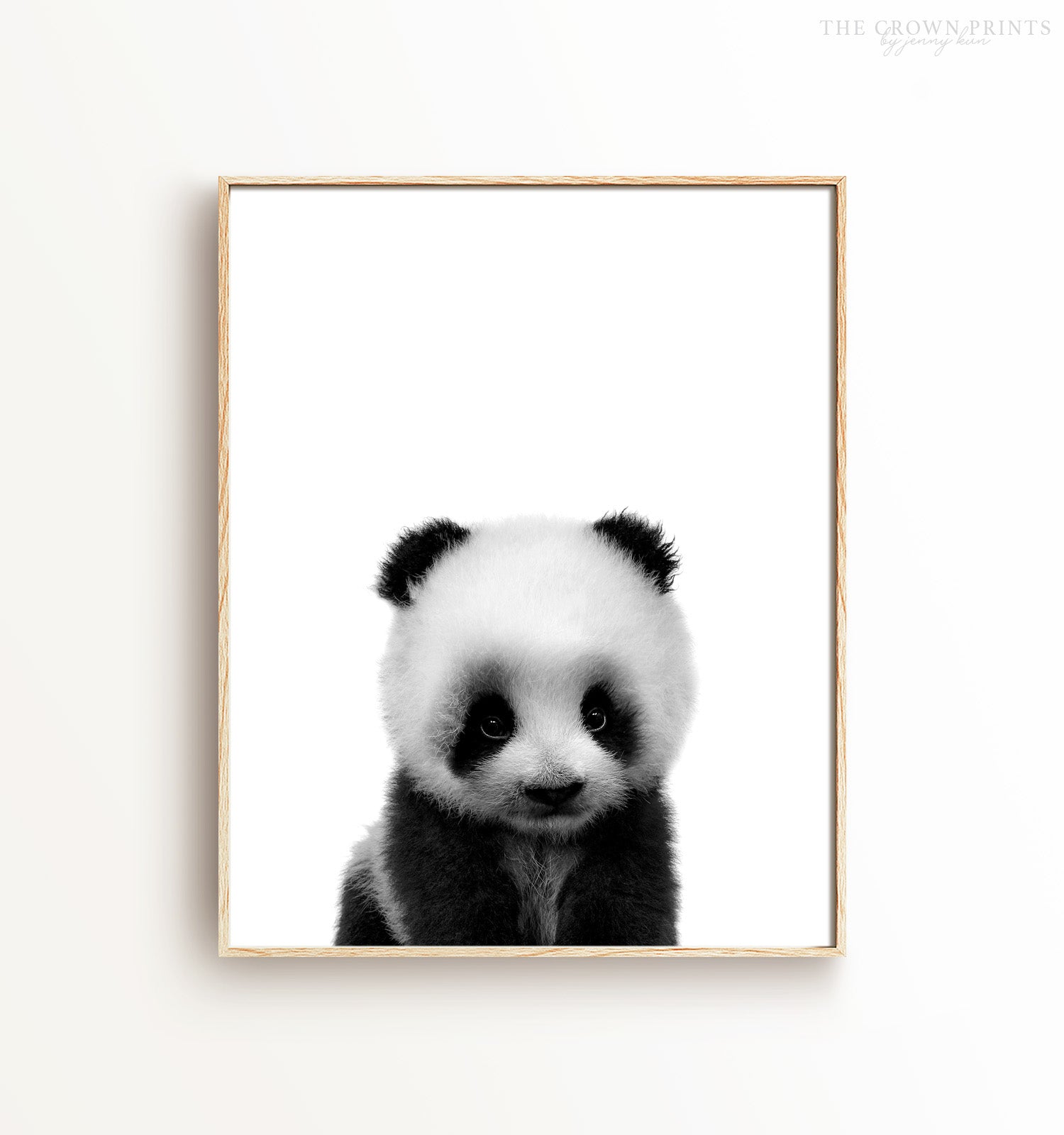Baby Panda Black And White Print The Crown Prints