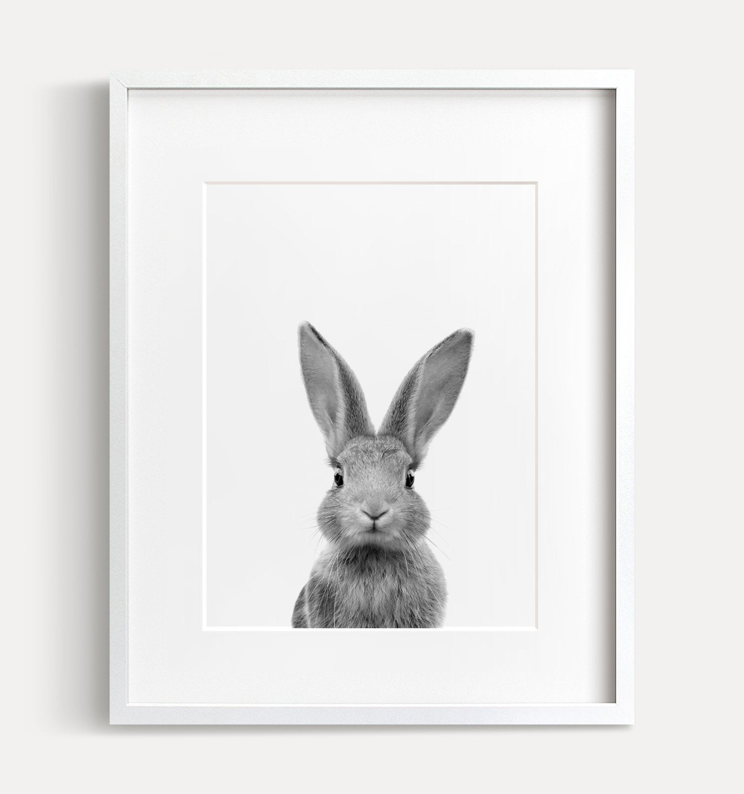 Baby Rabbit Black and White Print