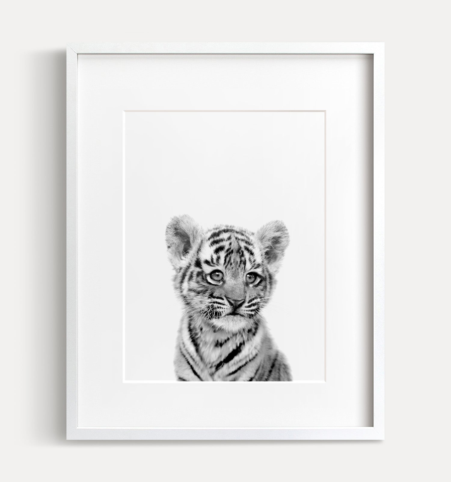 Baby Tiger Black And White Print The Crown Prints