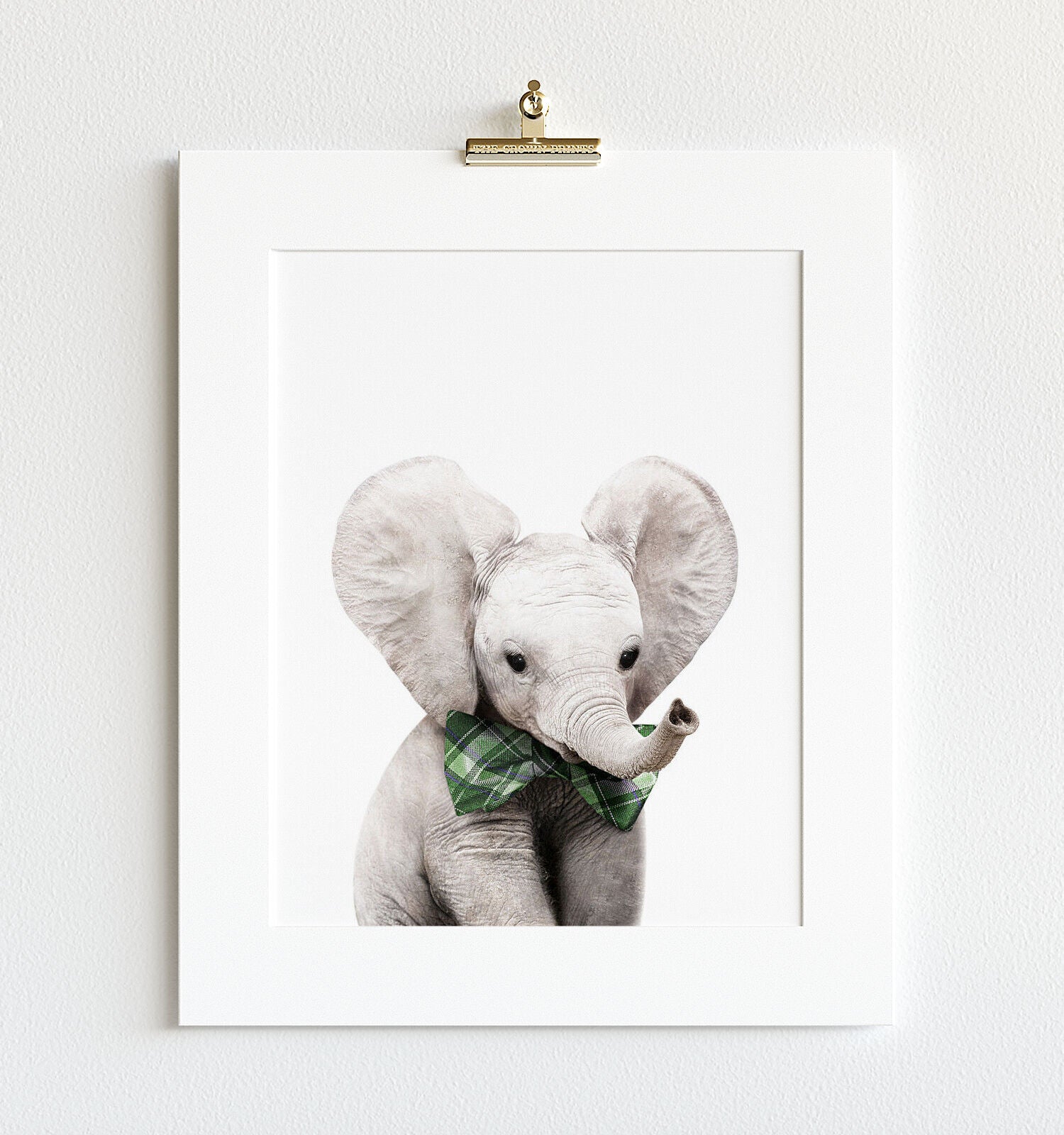 Baby Elephant Print The Crown Prints