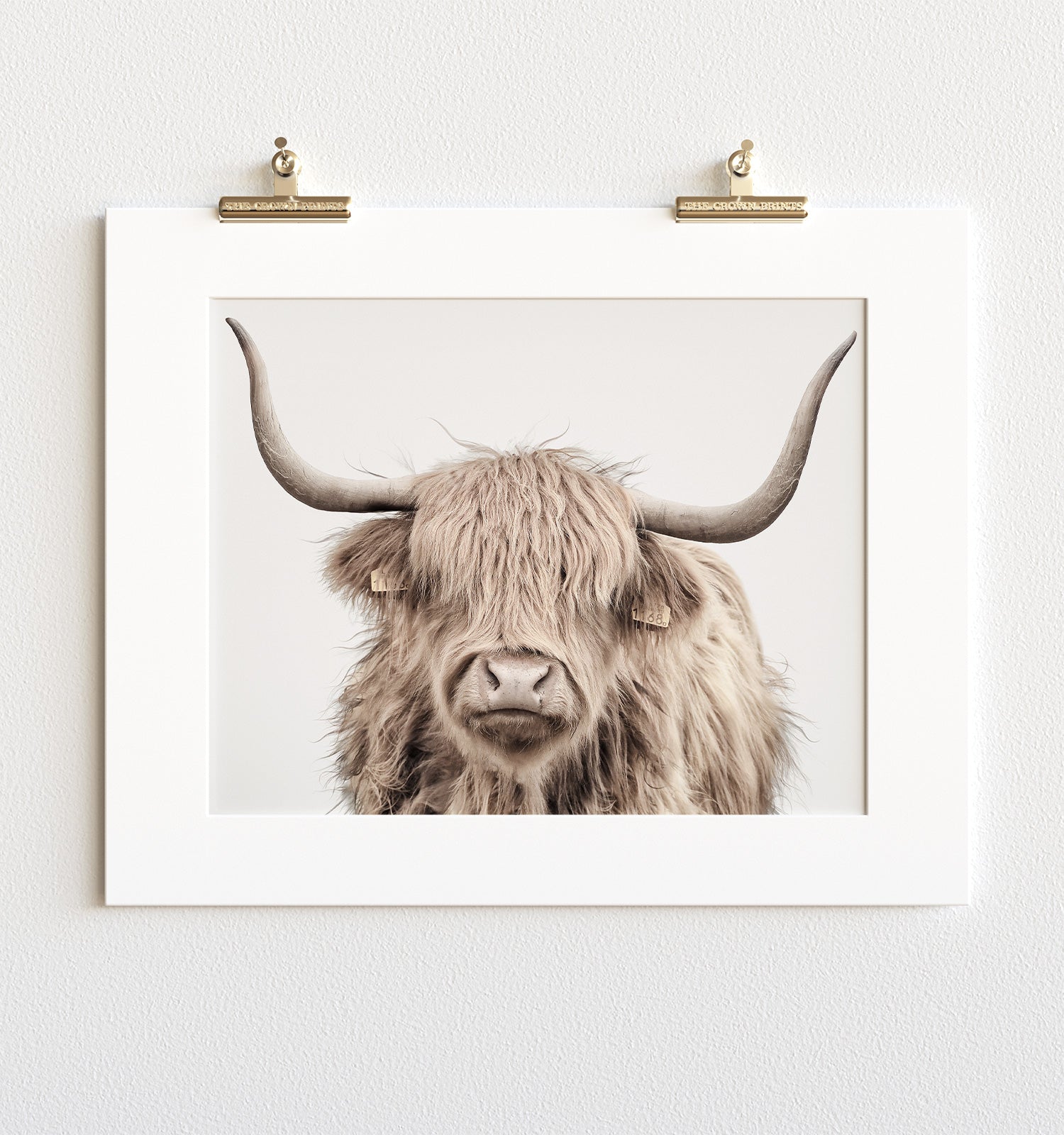 HIGHLAND COW wallpaper by Bigtopdog13  Download on ZEDGE  08de
