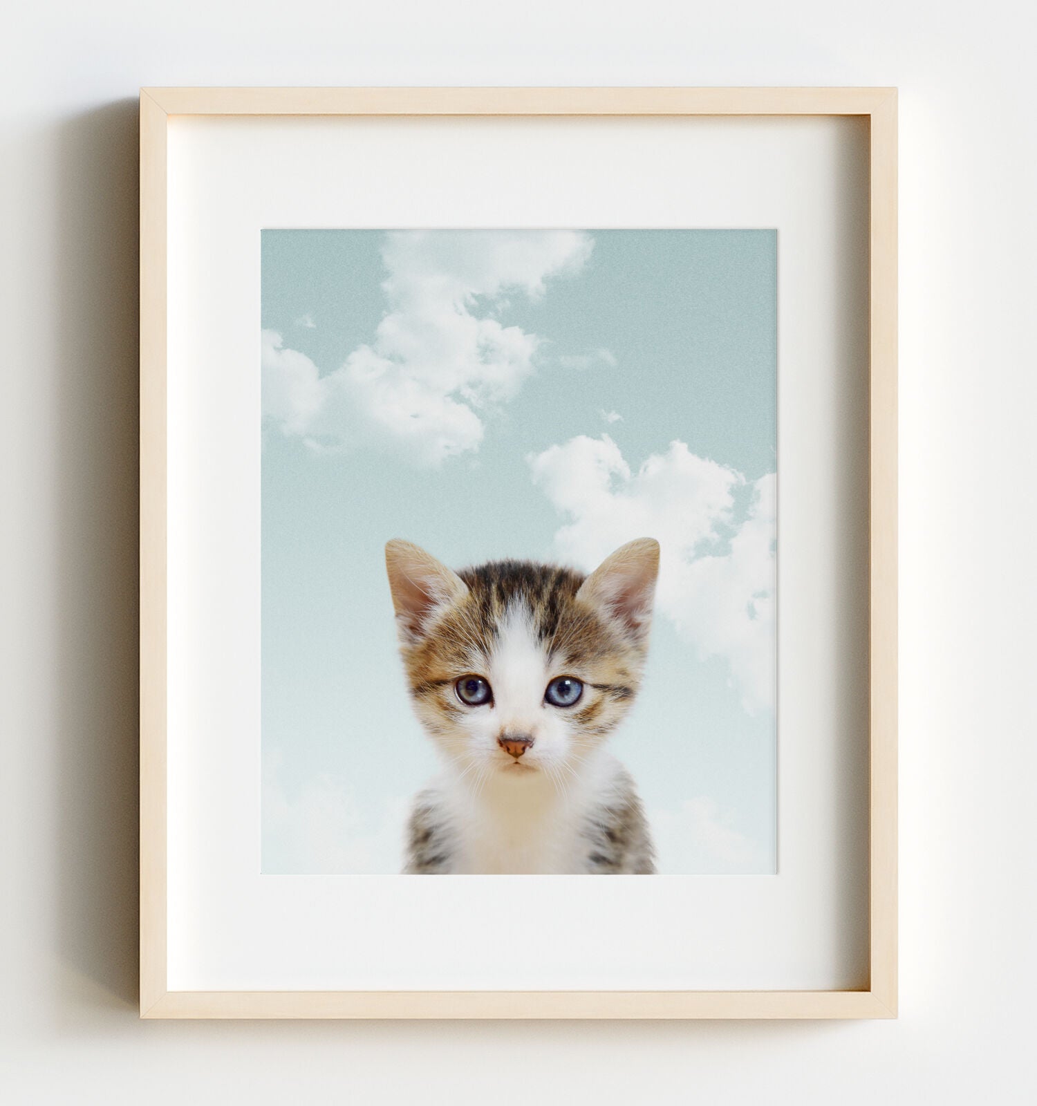 Bộ sưu tập Kitten sky background đáng yêu, dễ thương