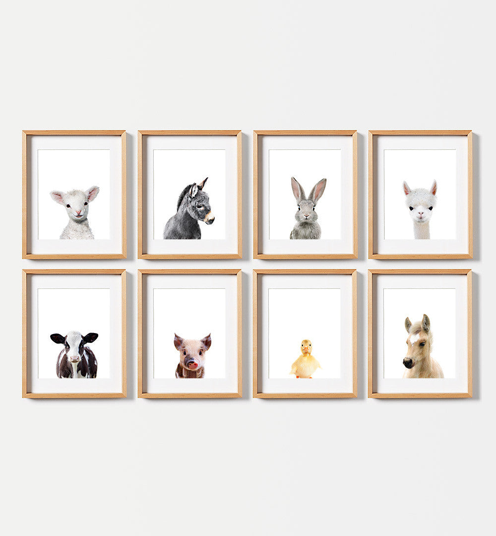 Farm Animal Prints - Set of 8 baby animals - The Crown Prints