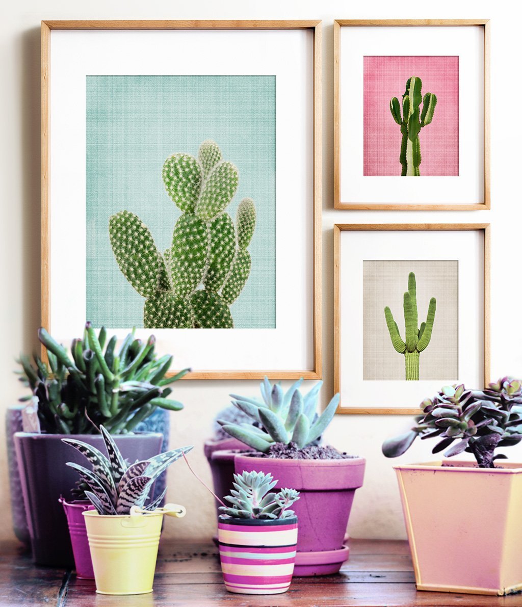 Cactus No. 3 Print