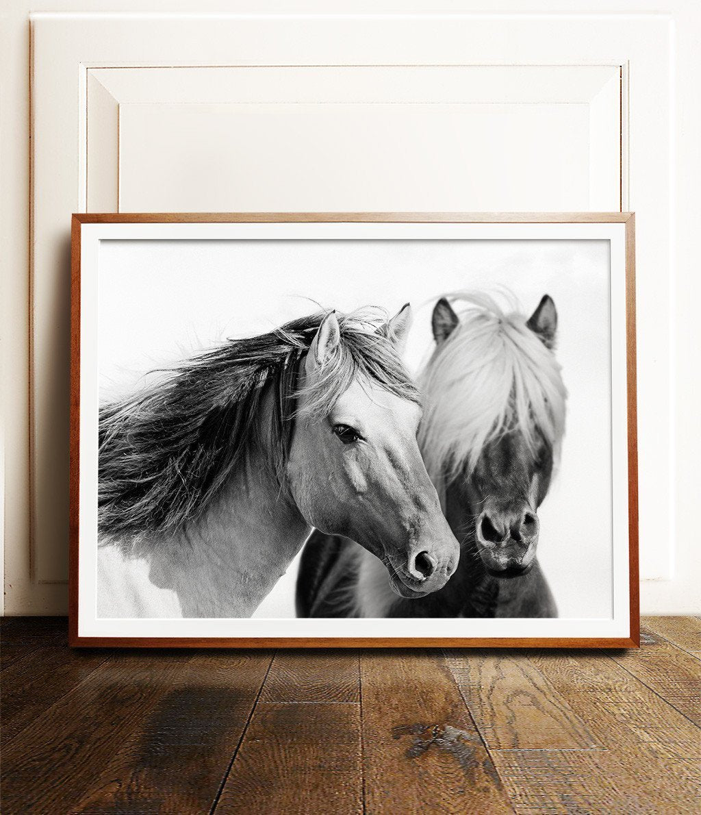 Two horses Print