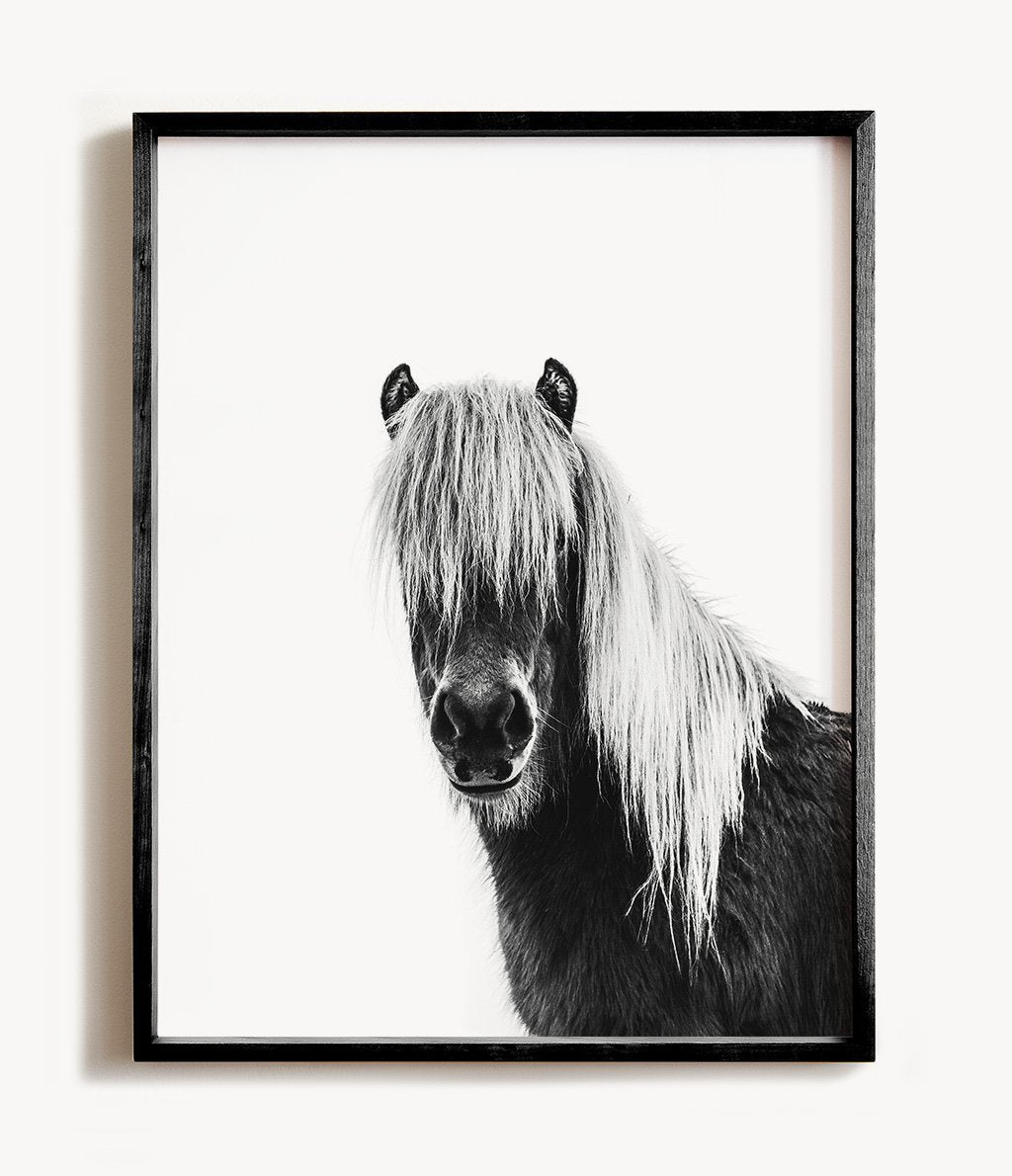 Black & White Shaggy Horse Print - The Crown Prints